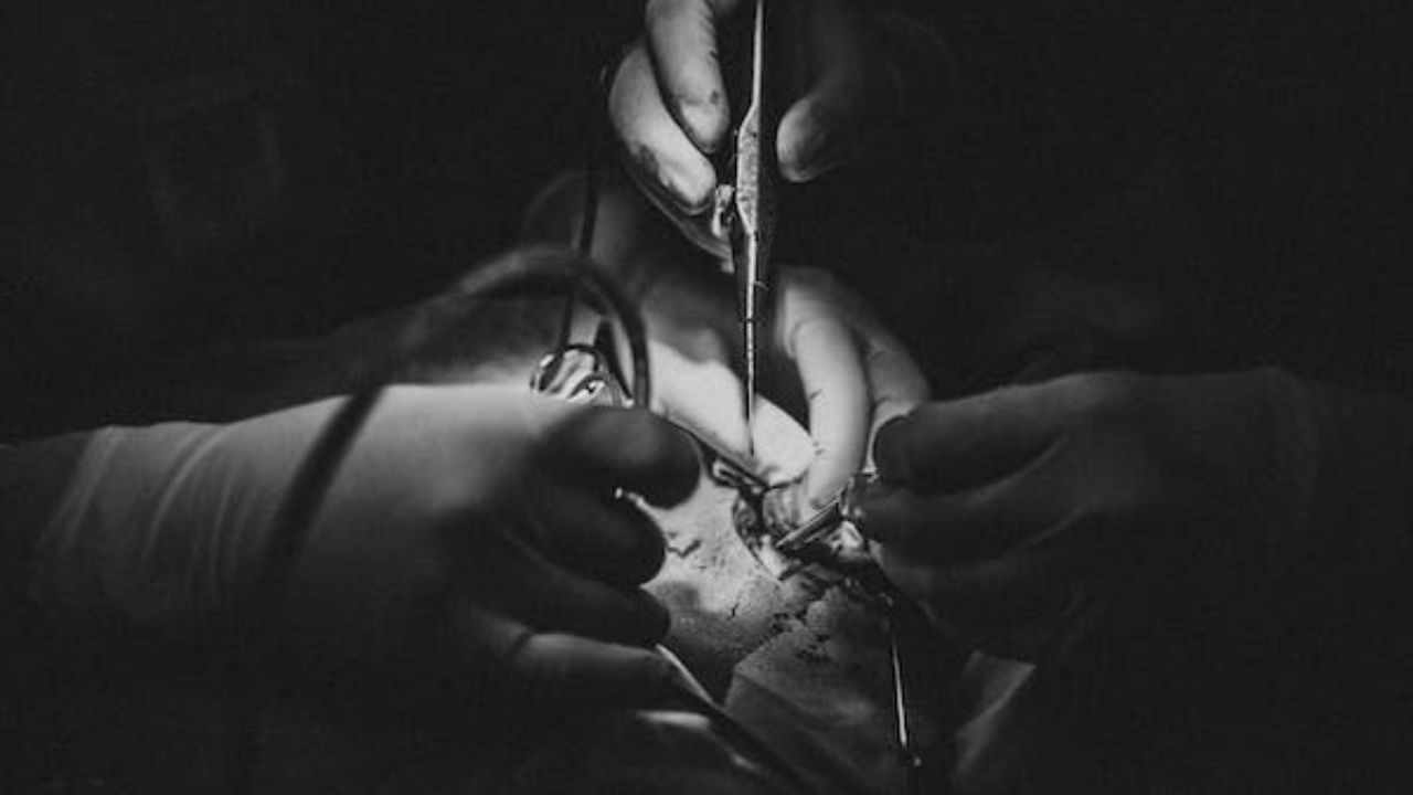 Alerta en Nuevo León por clínicas ‘pirata’ de cirugías estéticas