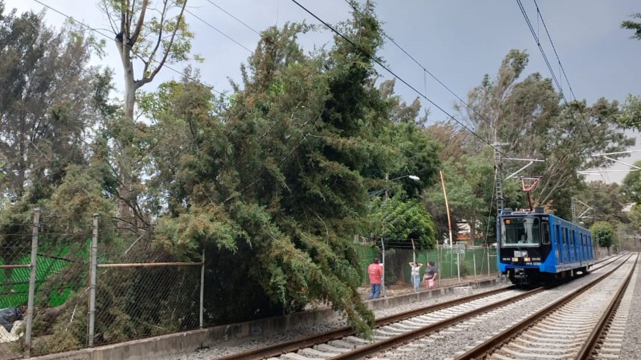 Tren ligero restablece servicio tras caída de árbol entre Tepepan y Periférico