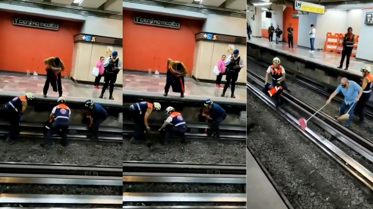 Gallina cae a vías del Metro y hacen de todo por rescatarla