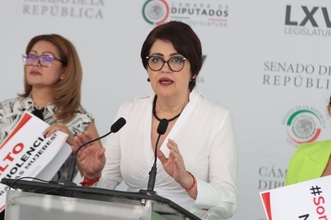 Diputada del PT propone reducir el IVA al 10%