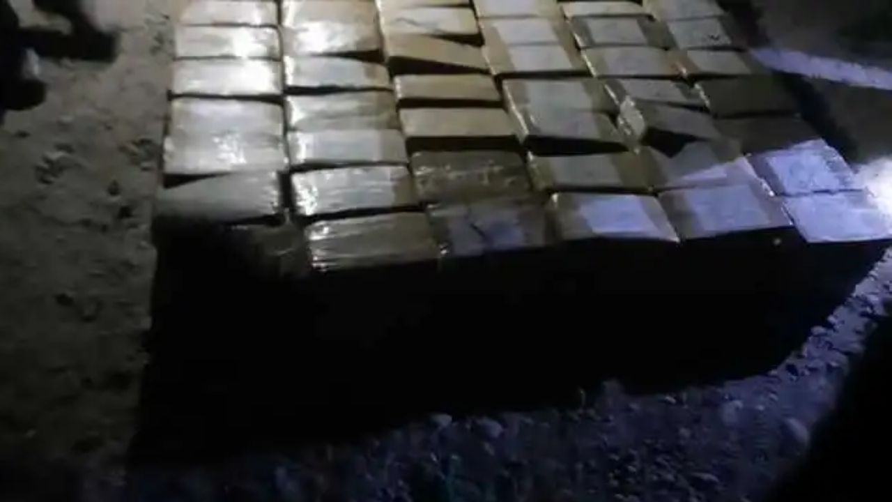 SSC confisca más de 5 mil kg de cocaína en CDMX