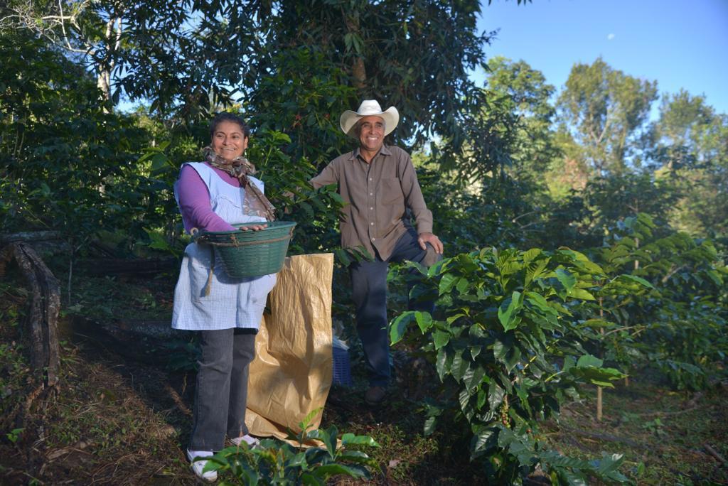 Heifer acerca soluciones innovadoras a la agricultura mexicana en asociación con Ethichub