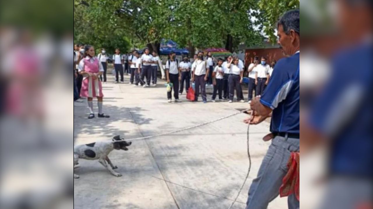 Piden destitución de director de secundaria por maltrato animal en Oaxaca