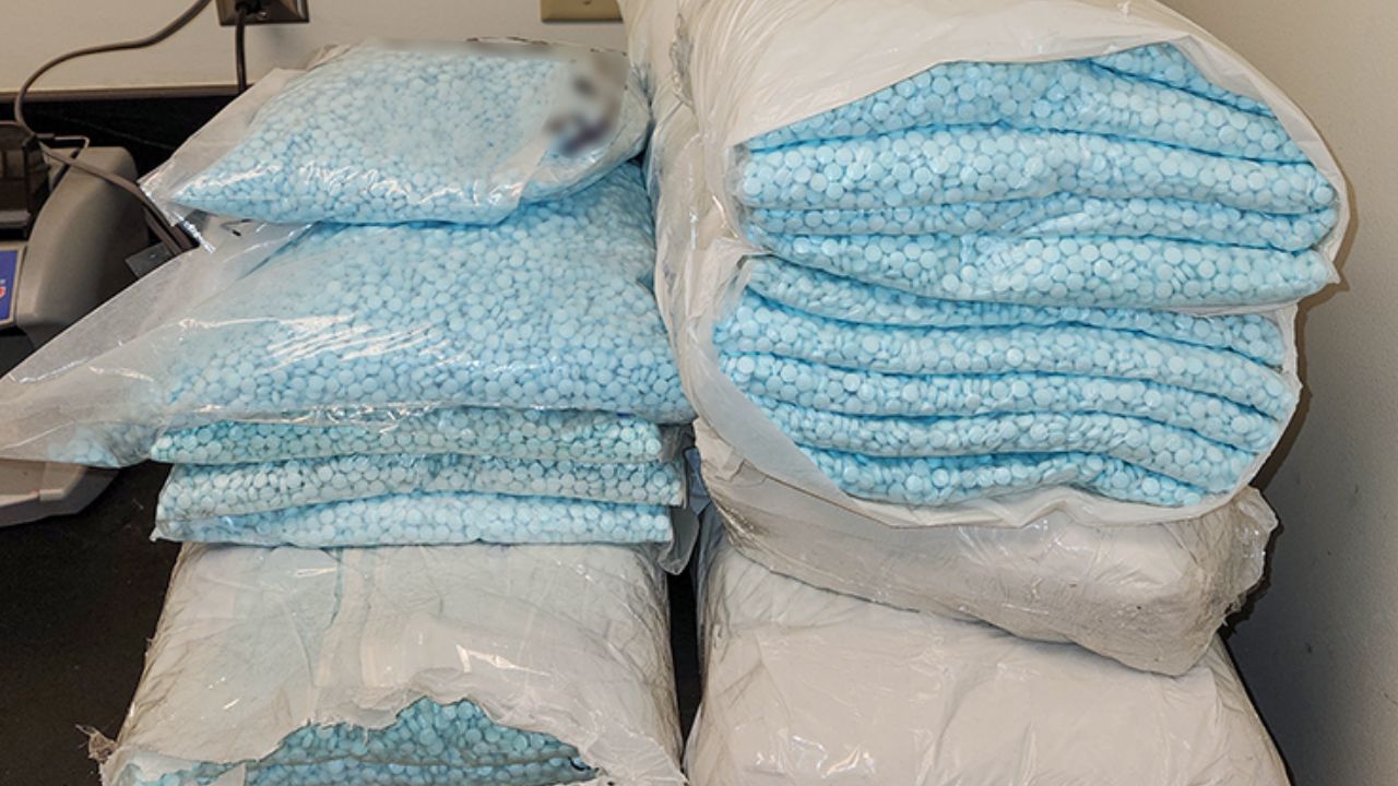 Mueren 10 jóvenes en Sonora por consumo de fentanilo