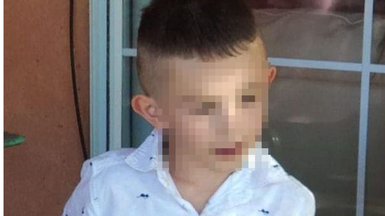 Pitbulls matan a niño de 4 años en Chihuahua; padres piden justicia