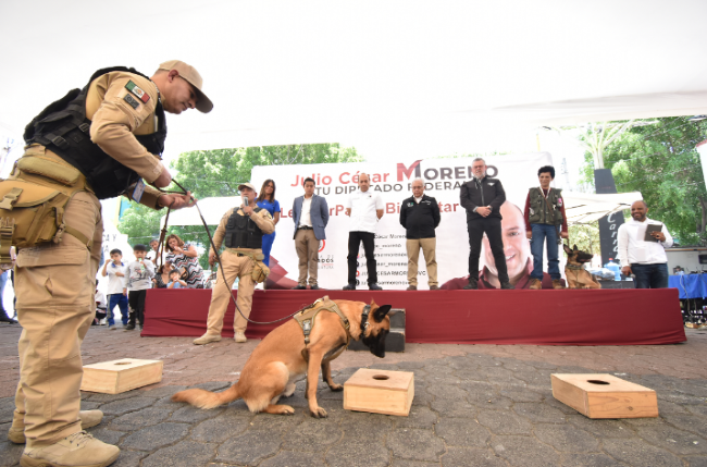 Binomios caninos de la Cámara de Diputados participan en jornada canina y felina de la alcaldía Venustiano Carranza