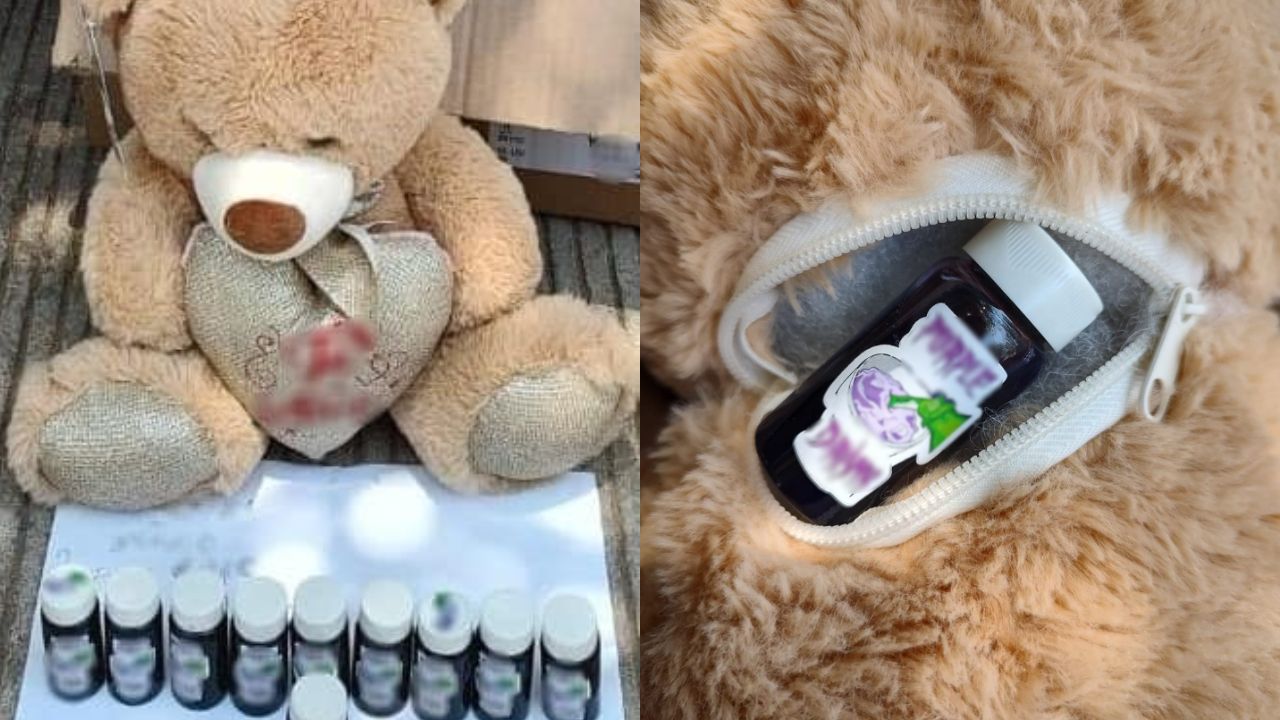 Cae oso de peluche con presunto narcótico en Culiacán, Sinaloa