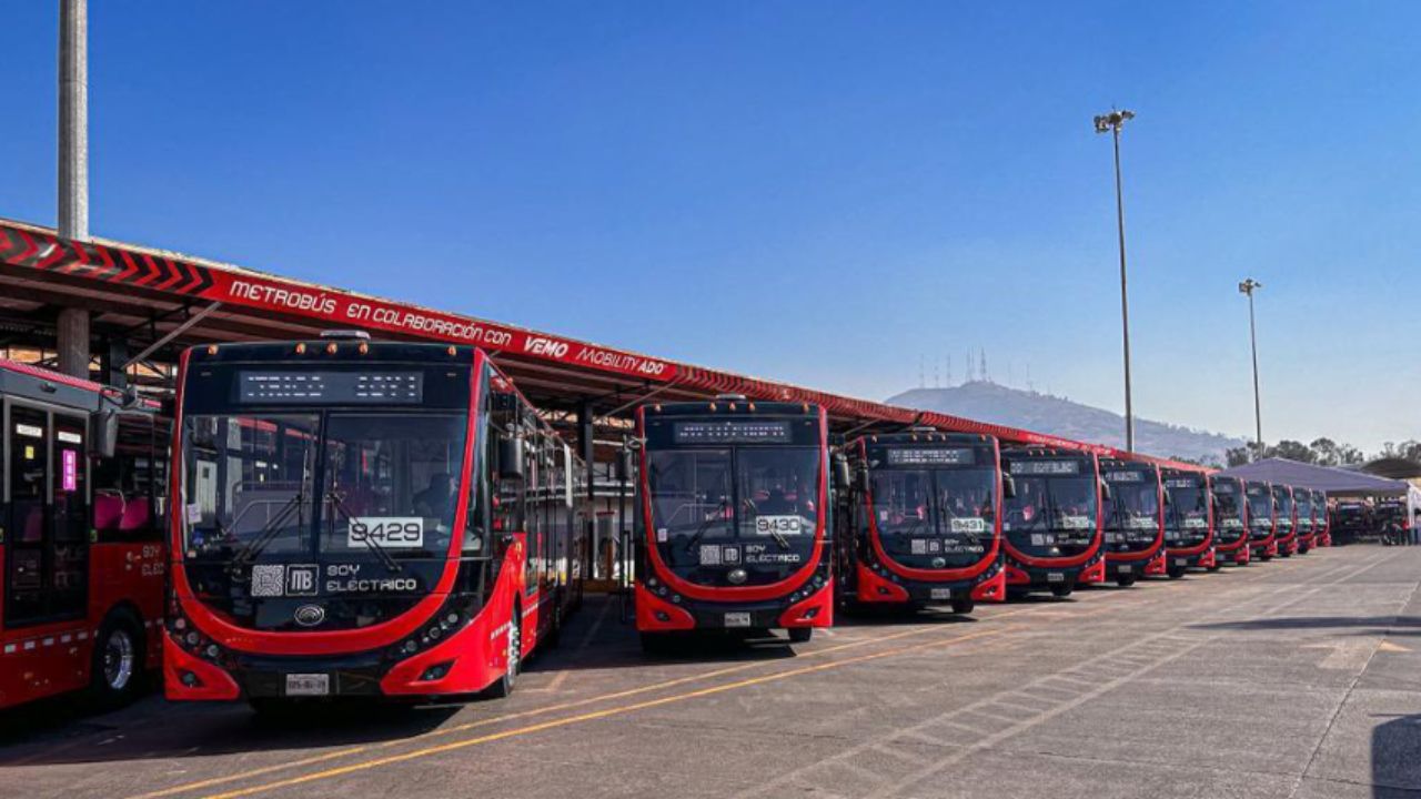 Chofer de Metrobús detiene la unidad para tomar una roca en Insurgentes