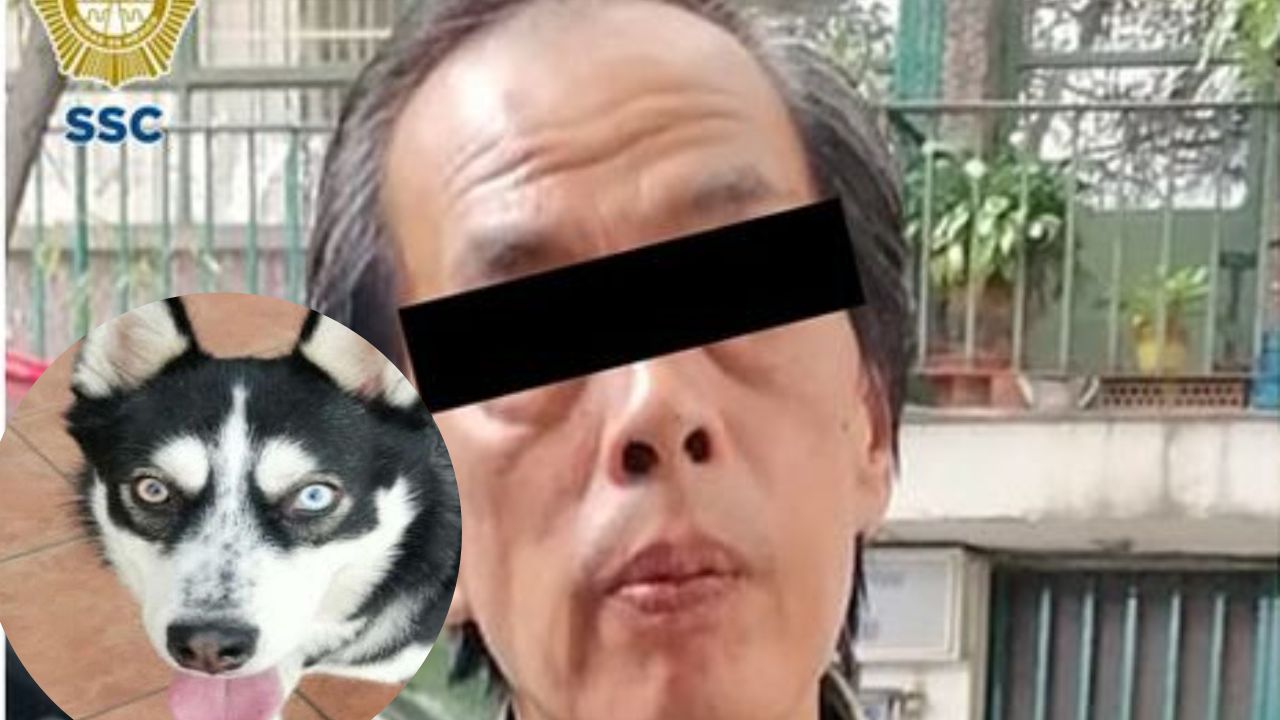 Detienen a sujeto que golpeo a perrito husky en calles de la Cuauhtémoc