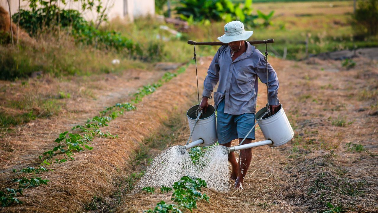 Rescatan a jornaleros que habían sido privados de su libertad y eran explotados en Sinaloa