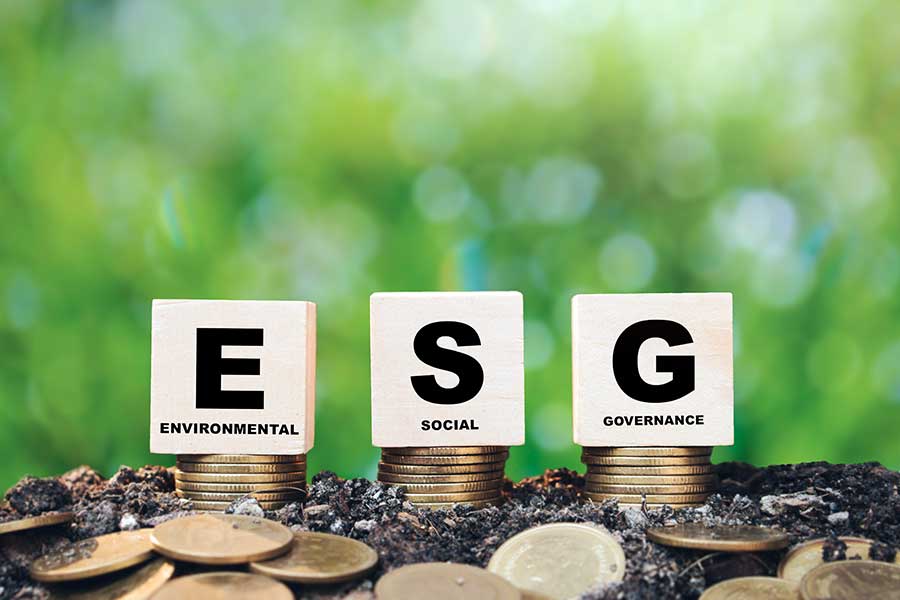 La implementación temprana de criterios ESG conducirán al éxito de las PyMEs