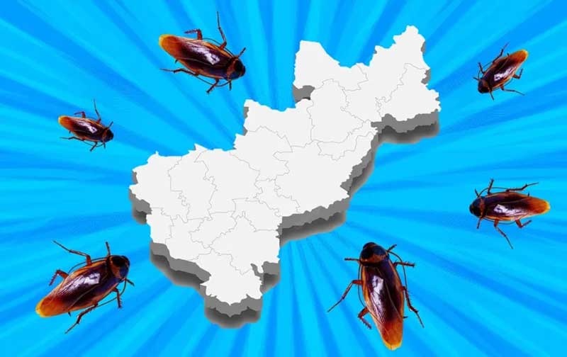 Libra Querétaro “efecto cucaracha” por inseguridad de Guanajuato