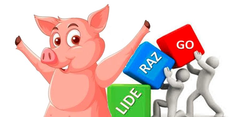 Porcícolas organizados crecen en liderazgo, producción y agroindustria de primer nivel