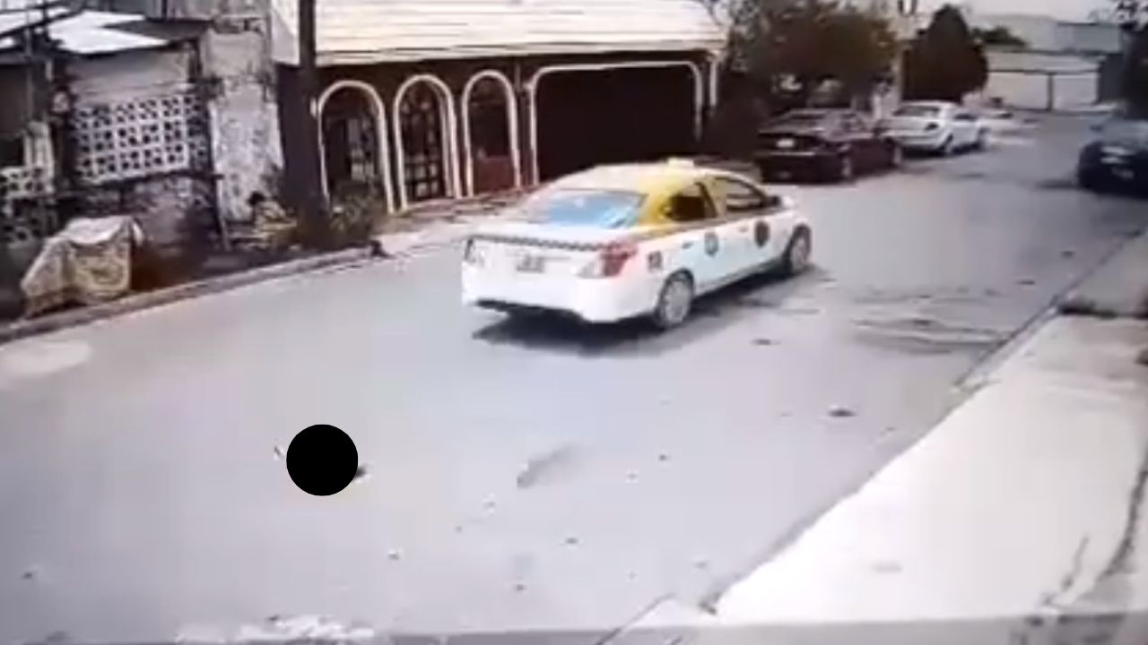 Taxista atropella a perrito callejero en Cadereyta, Nuevo León