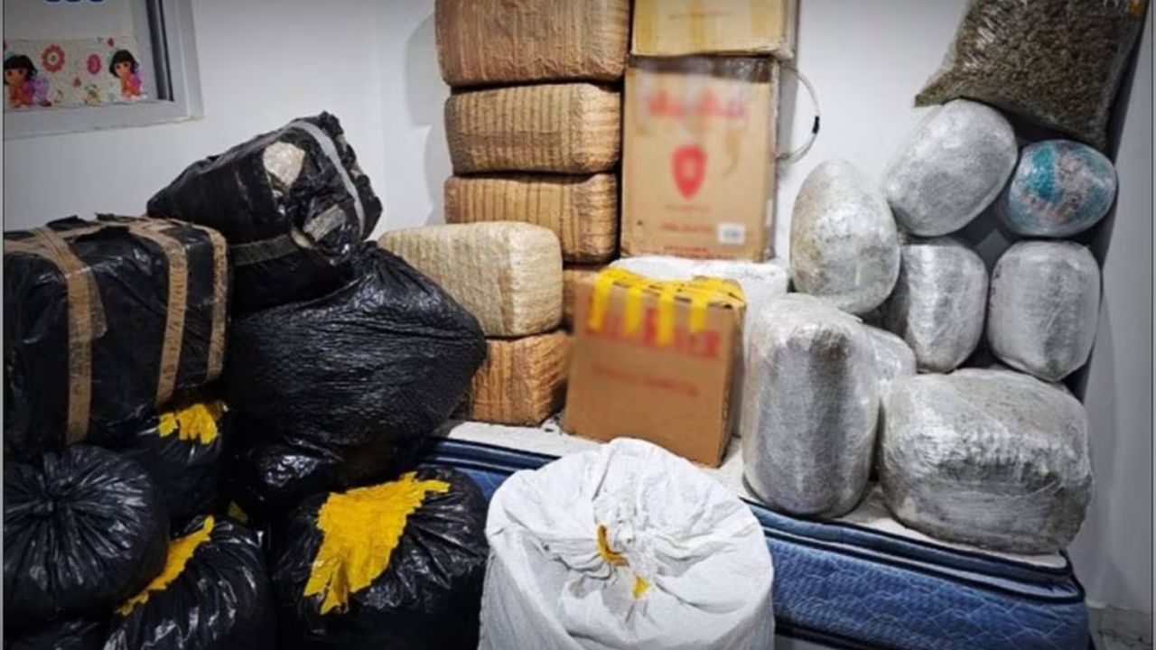 Aseguran 400 kilos de marihuana durante cateos en Tepito