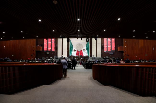 Realizan segunda jornada canina y felina con la participación de los binomios caninos de la Cámara de Diputados