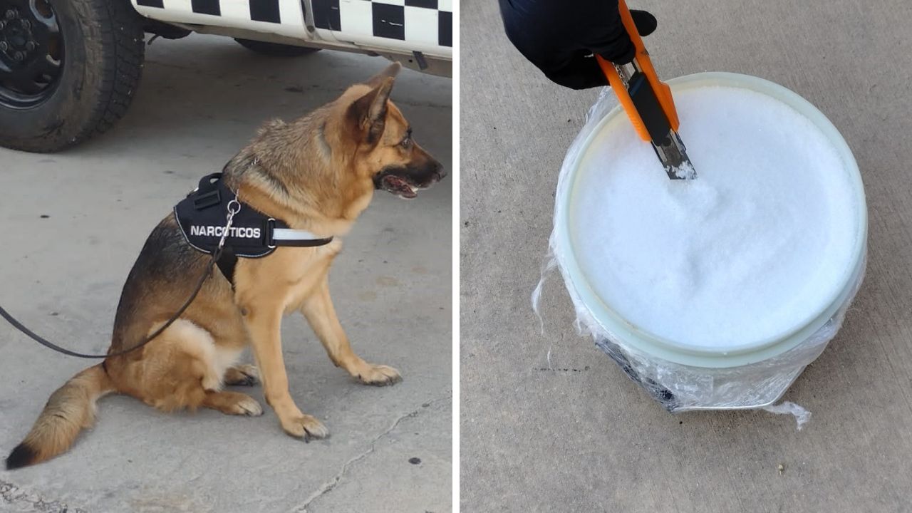 Hallan crystal oculto en cubeta de pintura en Hermosillo