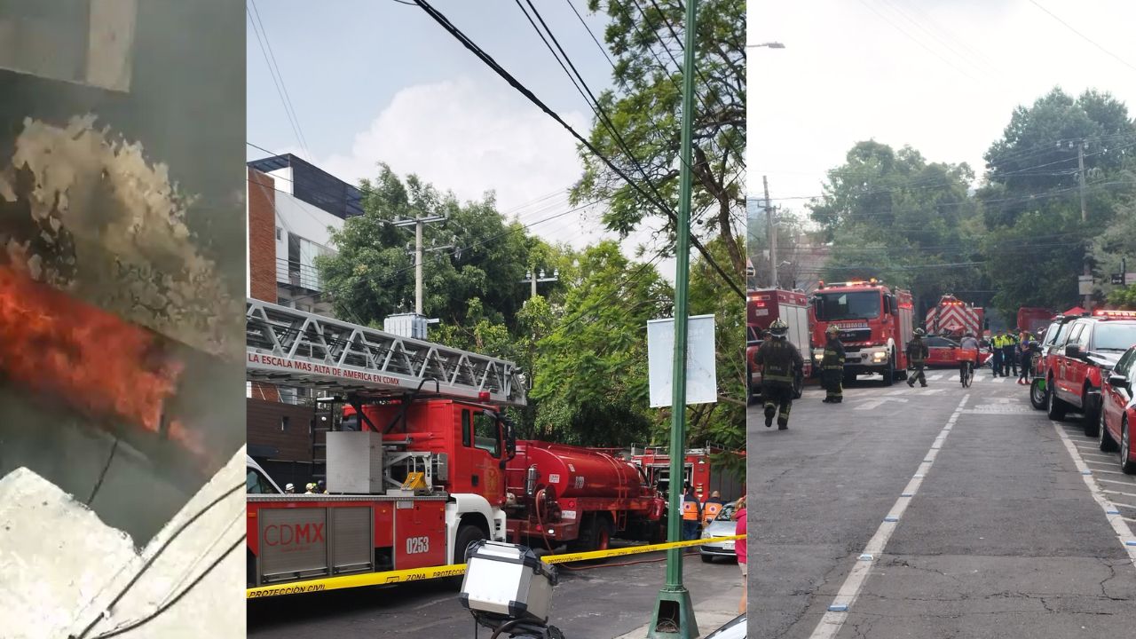 Mueren seis perritos durante incendio de departamento en CDMX