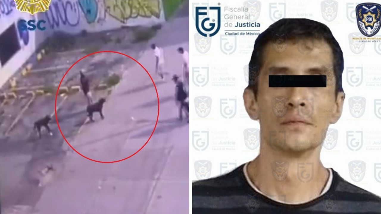 Vinculan a proceso a sujeto que mató al perrito ‘Zeus’