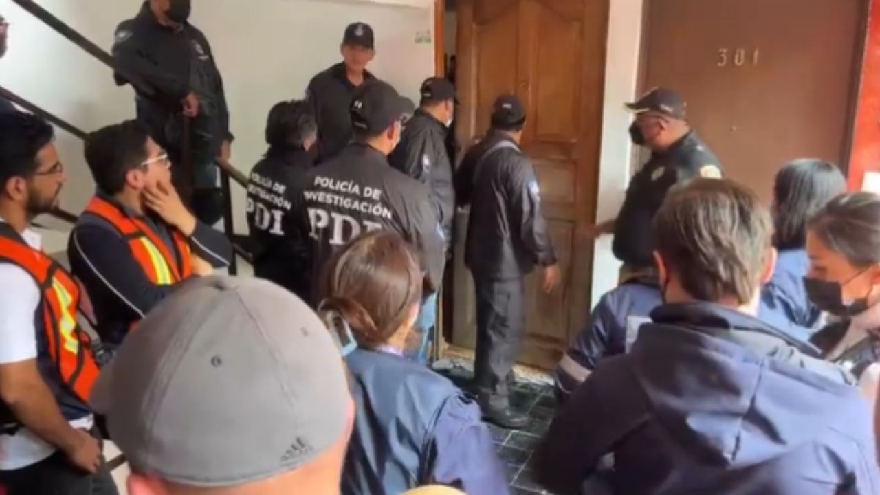 Rescatan a varios gatos hacinados en departamento de GAM