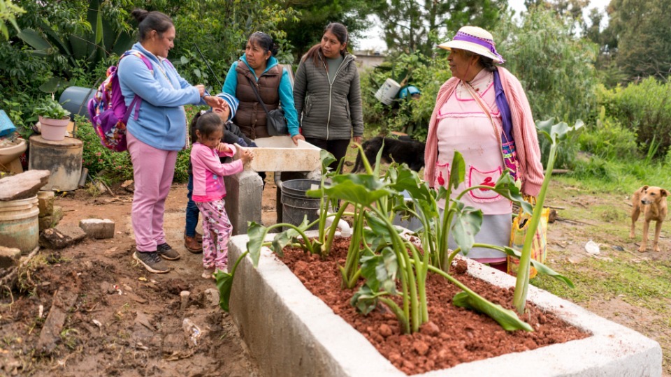 Donación mejora calidad de vida y sostenibilidad  en comunidades del Estado de México y Veracruz
