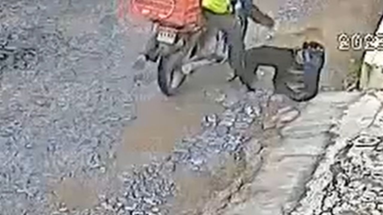 Hombre en motocicleta se roba a perrita en Jalisco