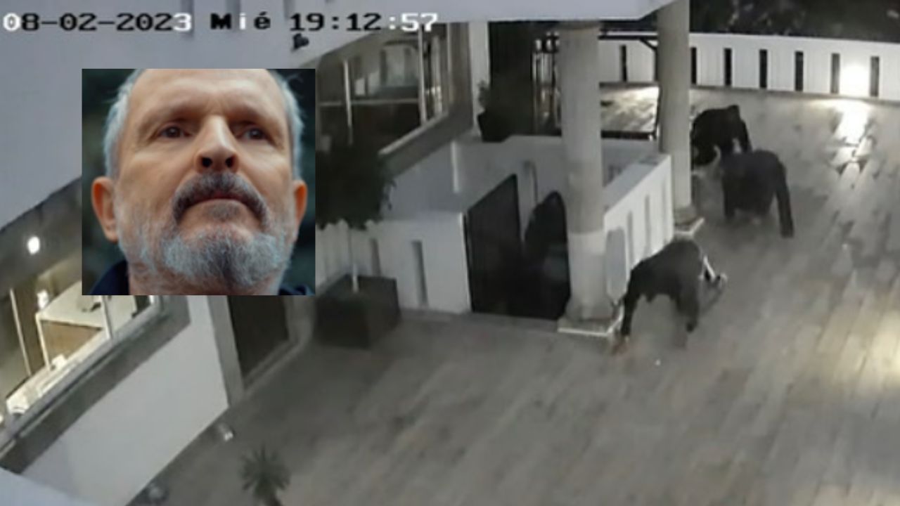 No solo a Miguel Bosé; otra casa de AO también fue robada dos semanas antes