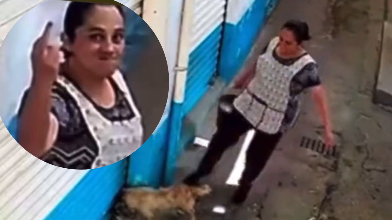 Mujer golpea a perrita en mercado de Ecatepec; es buscada por autoridades