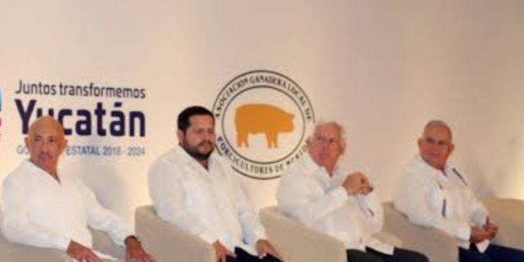 Industria porcícola de Yucatán va por certificación global de sustentabilidad