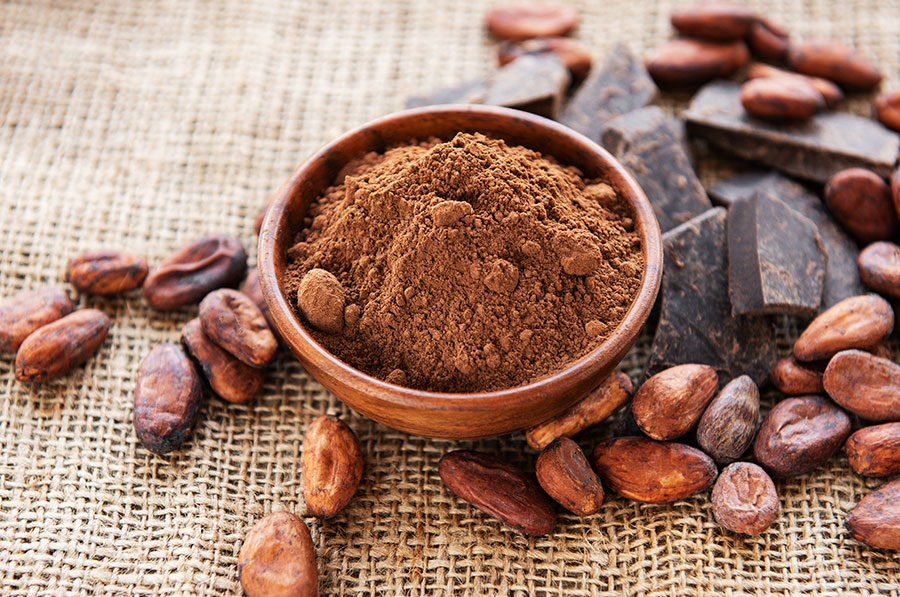 Producción de cacao incrementaría hasta en 38 mil toneladas para el 2024 en México
