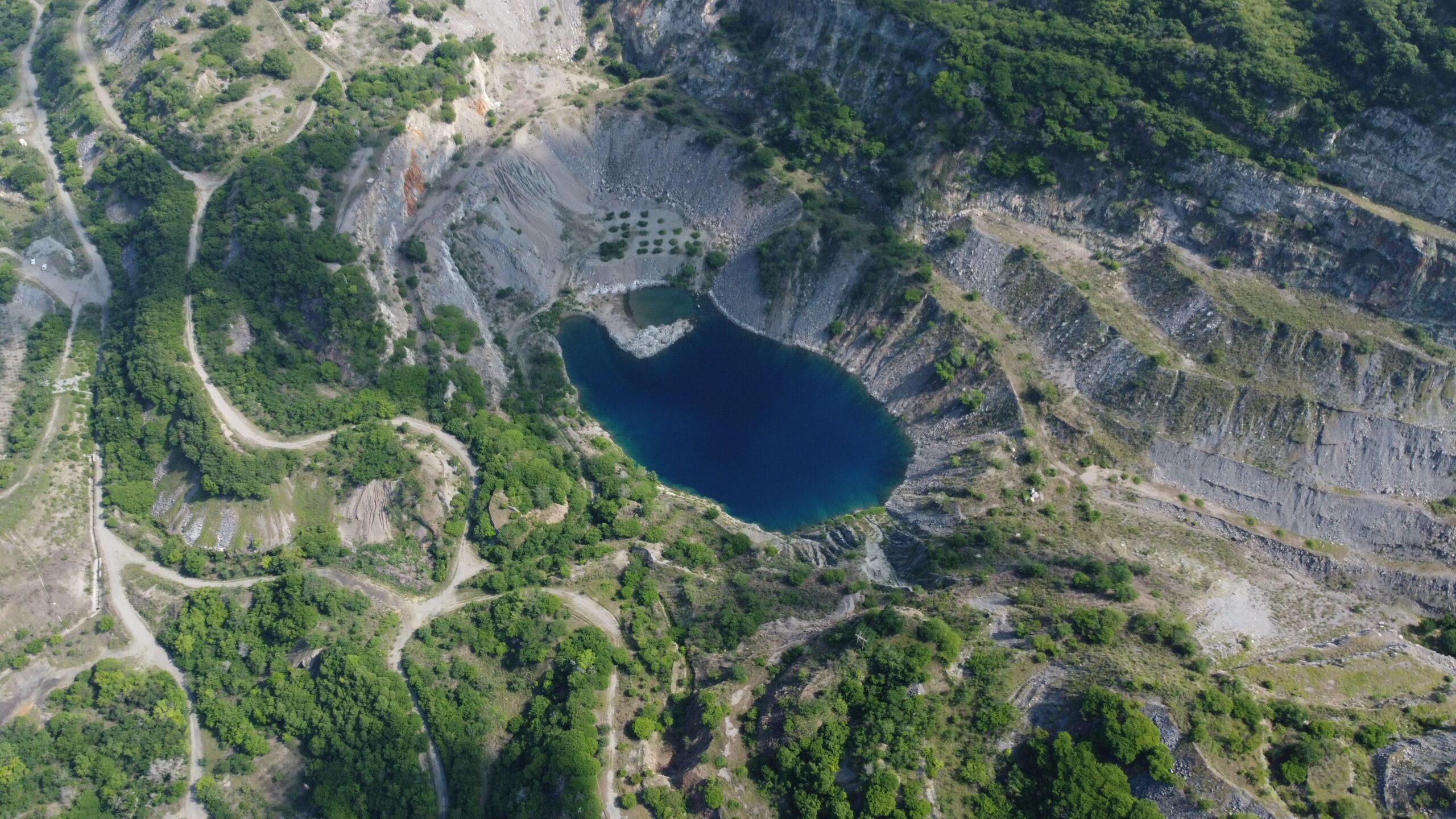 Ternium concluye restauración de la Mina Cerro Náhuatl y Estación Jala en Colima; aumenta área forestal y recupera fauna nativa