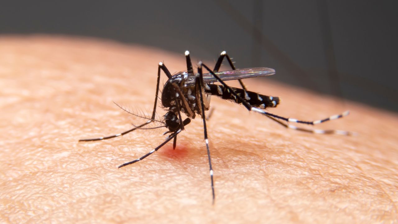 Aumenta casos de dengue en Oaxaca; van tres defunciones