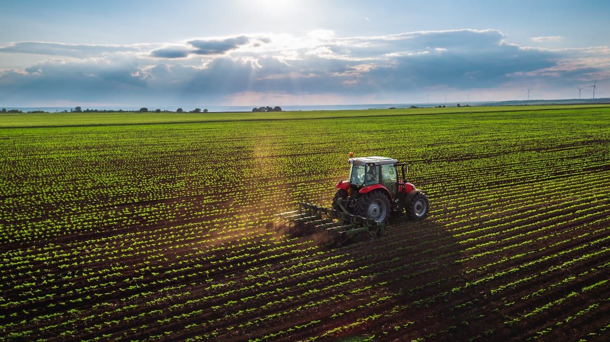 Sector agropecuario como atractivo de instituciones financieras: Tasvalúo