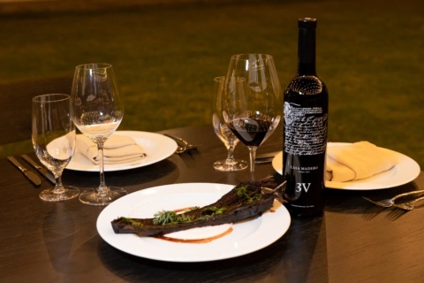 Casa Madero presenta 3V edición limitada en el marco del Día del Vino Mexicano