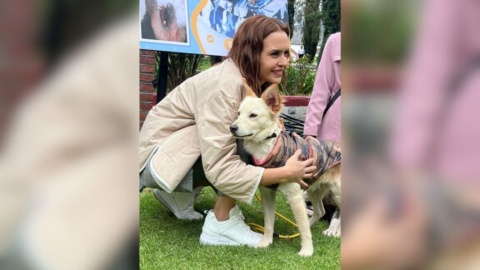 Clara Luz Flores impulsa decálogo contra el maltrato animal