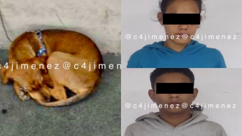 Arrestan a 2 venezolanos tras apalear a perro en la Cuauhtémoc