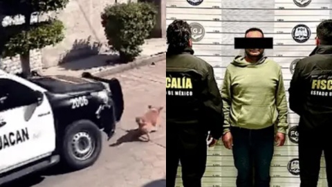 Detienen a policía que atropelló a “Peluche” en calles de Chimalhuacán