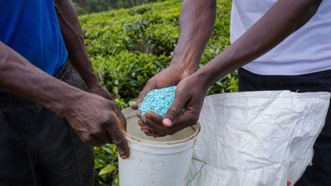FAO prevé alza en demanda de fertilizantes