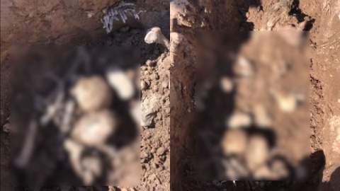 Madres Buscadoras hallan fosa clandestina en zona rural de Hermosillo, Sonora