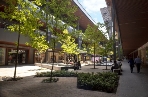 Éxito rotundo en la Celebración del 10mo Aniversario de Antea en el Centro Comercial