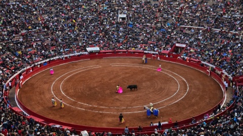 AMLO propone someter a consulta popular corridas de toros