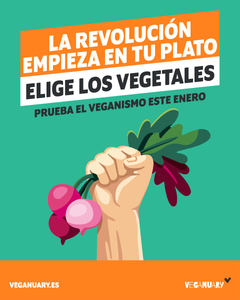 Comenzó Enero Vegano: campaña invita a las personas de México a probar la alimentación basada en plantas