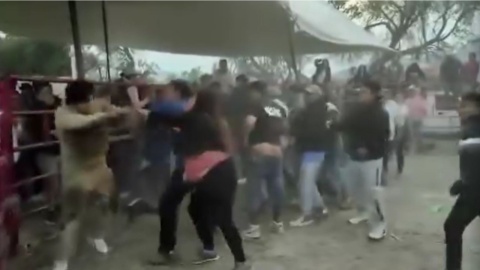 Inician pelea campal por atrapar a un cerdito en Caña Grande, Hidalgo