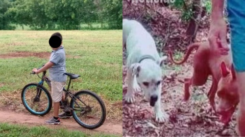 Niño habría perdido su ojo tras ataque de perros en Pochutla, Oaxaca