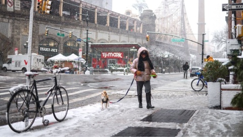 Vuelos cancelados y caos de transporte por tormenta de nieve en Nueva York