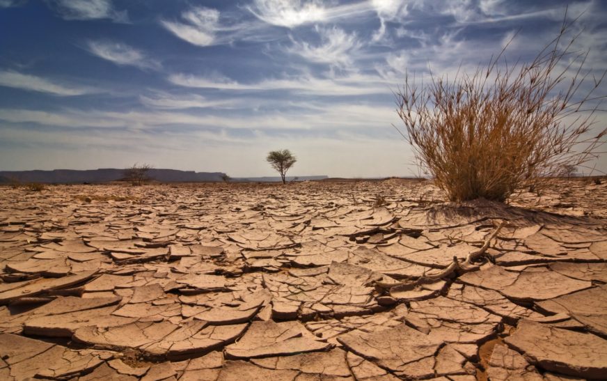 Alertan por sequía y calor extremo en gran parte de México