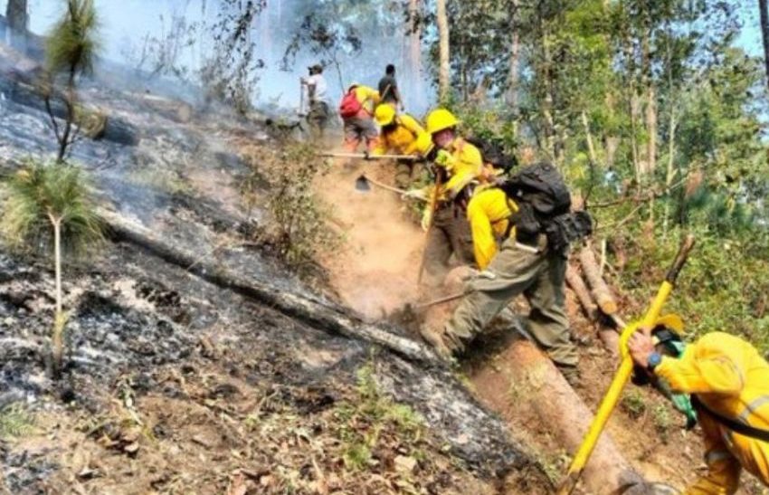 Hay 116 incendios activos en el país; López Obrador confirma 4 muertos