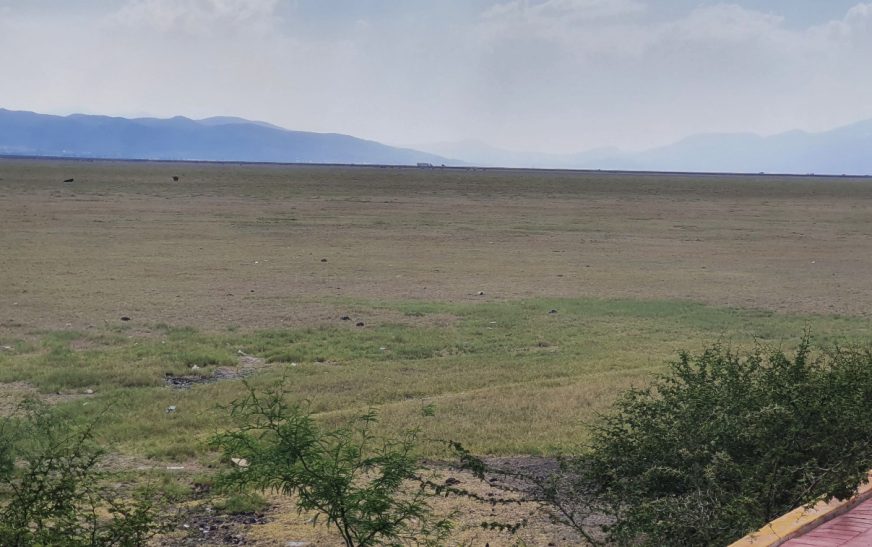 Cuitzeo no está muerto; tiene remedio, como lo tuvo el Lago de Chapala, dicen organizaciones civiles