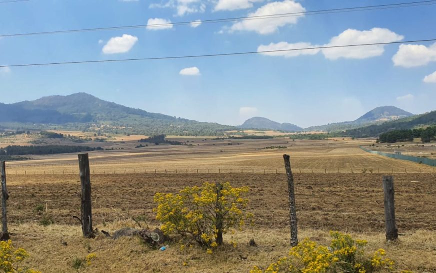 Evitar cambios de uso de suelo y trabajo en unidad para poder producir agua en sus bosques solicitan comuneros de la Meseta Purépecha