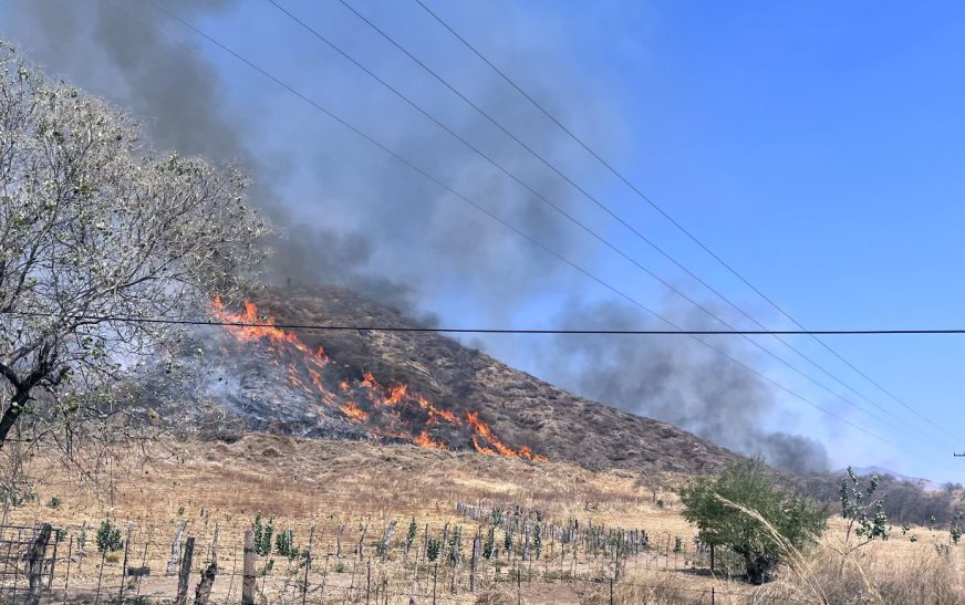 Está deforestado el 70% de la zona Sierra Costa de Michoacán; este año se han perdido 9 mil hectáreas por incendios en Coalcomán